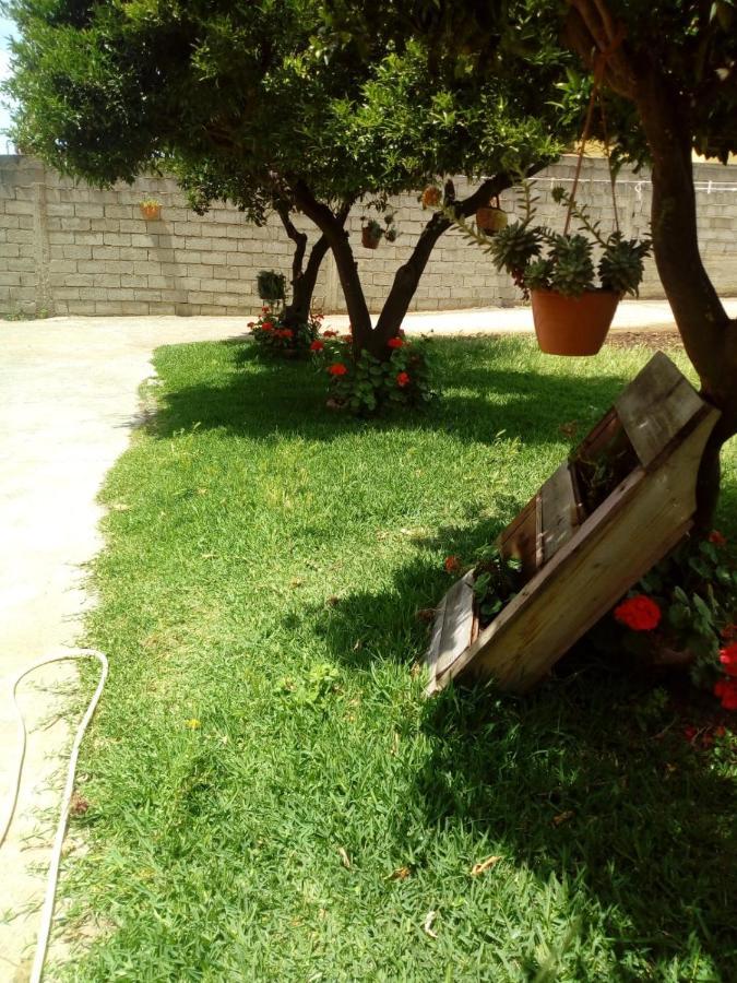 B&B Villa Del Sole Gizzeria Luaran gambar
