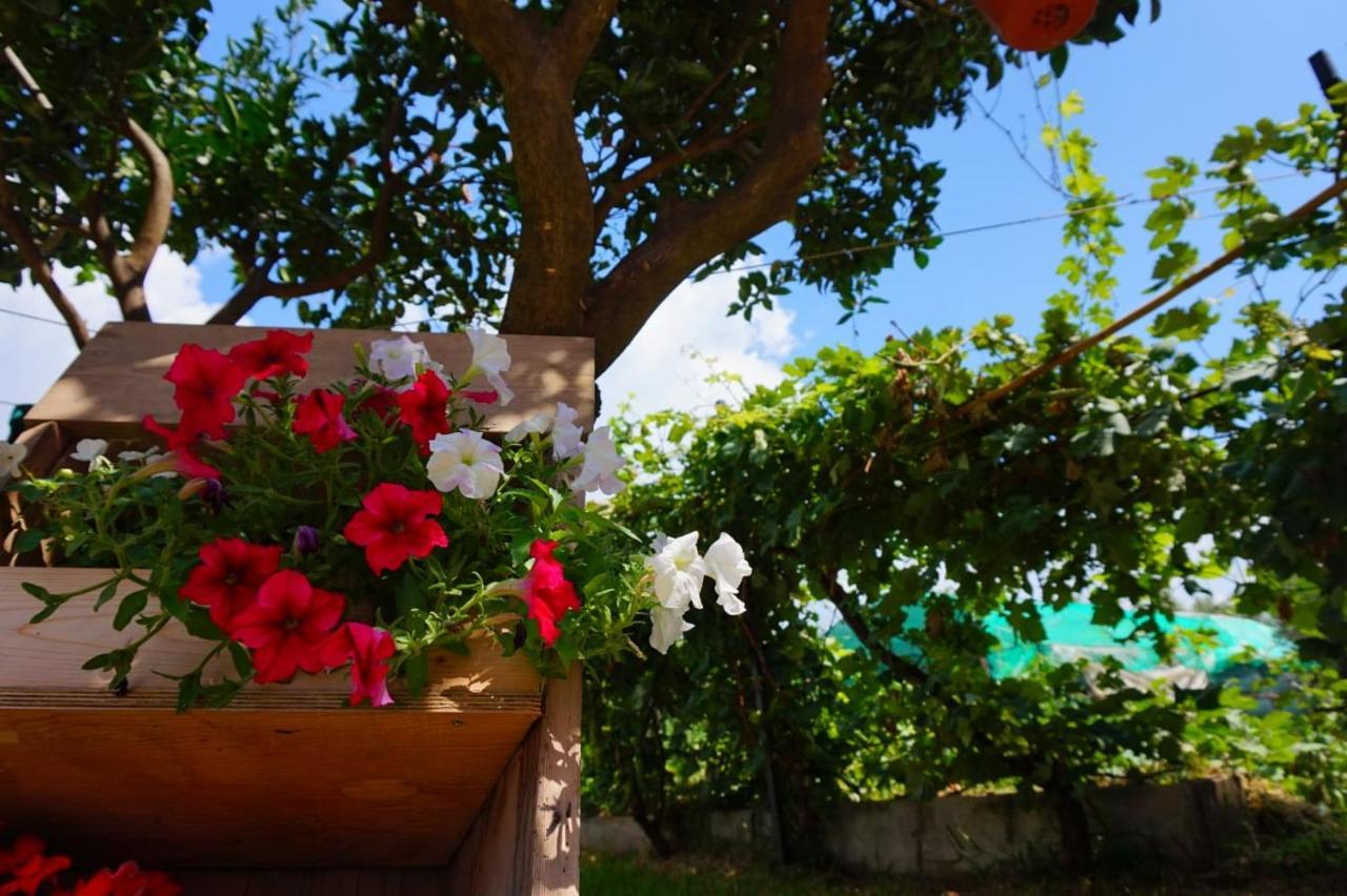B&B Villa Del Sole Gizzeria Luaran gambar
