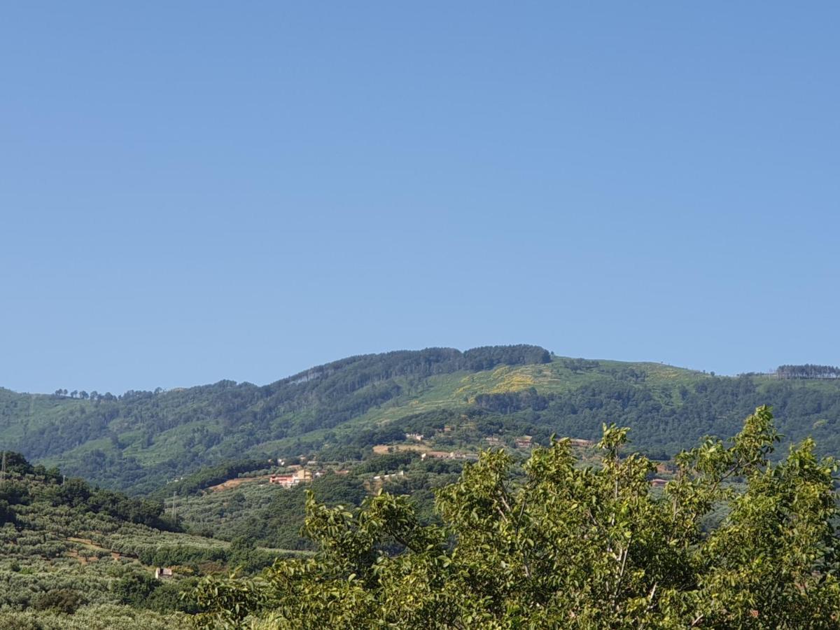 B&B Villa Del Sole Gizzeria Luaran gambar