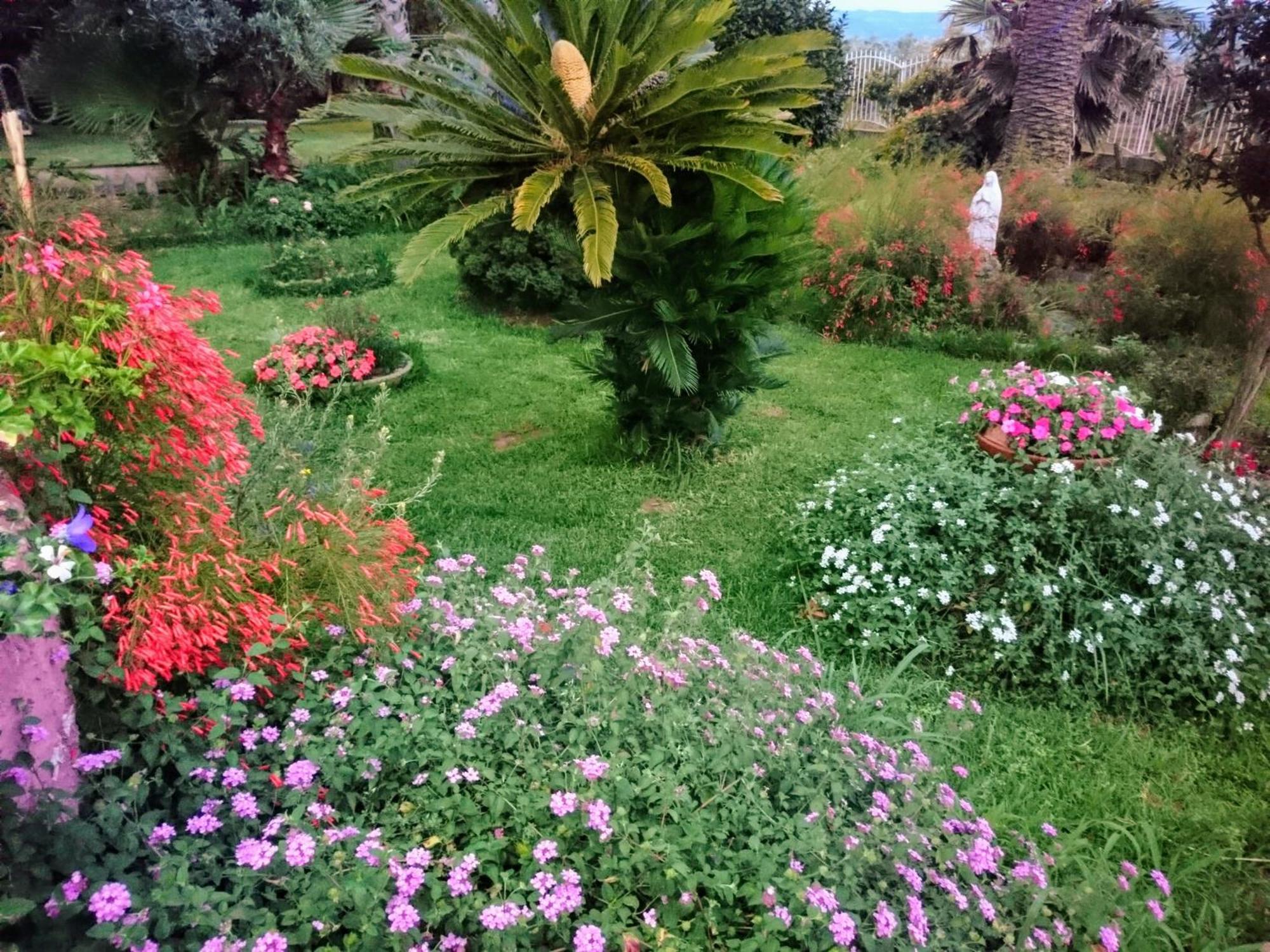 B&B Villa Del Sole Gizzeria Luaran gambar